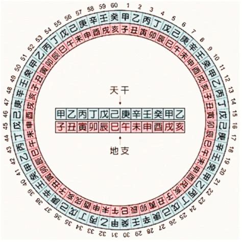 寅 五行|天干地支五行对照表 – 天干地支概念